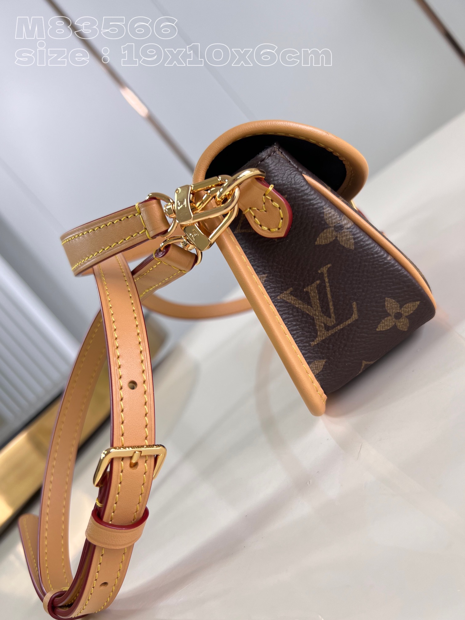 Louis Vuitton Nano Diane with leather strap and traditional buckle flap canvas bag