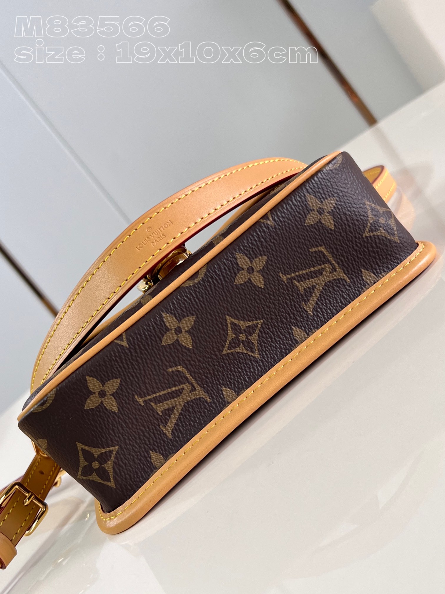 Louis Vuitton Nano Diane with leather strap and traditional buckle flap canvas bag