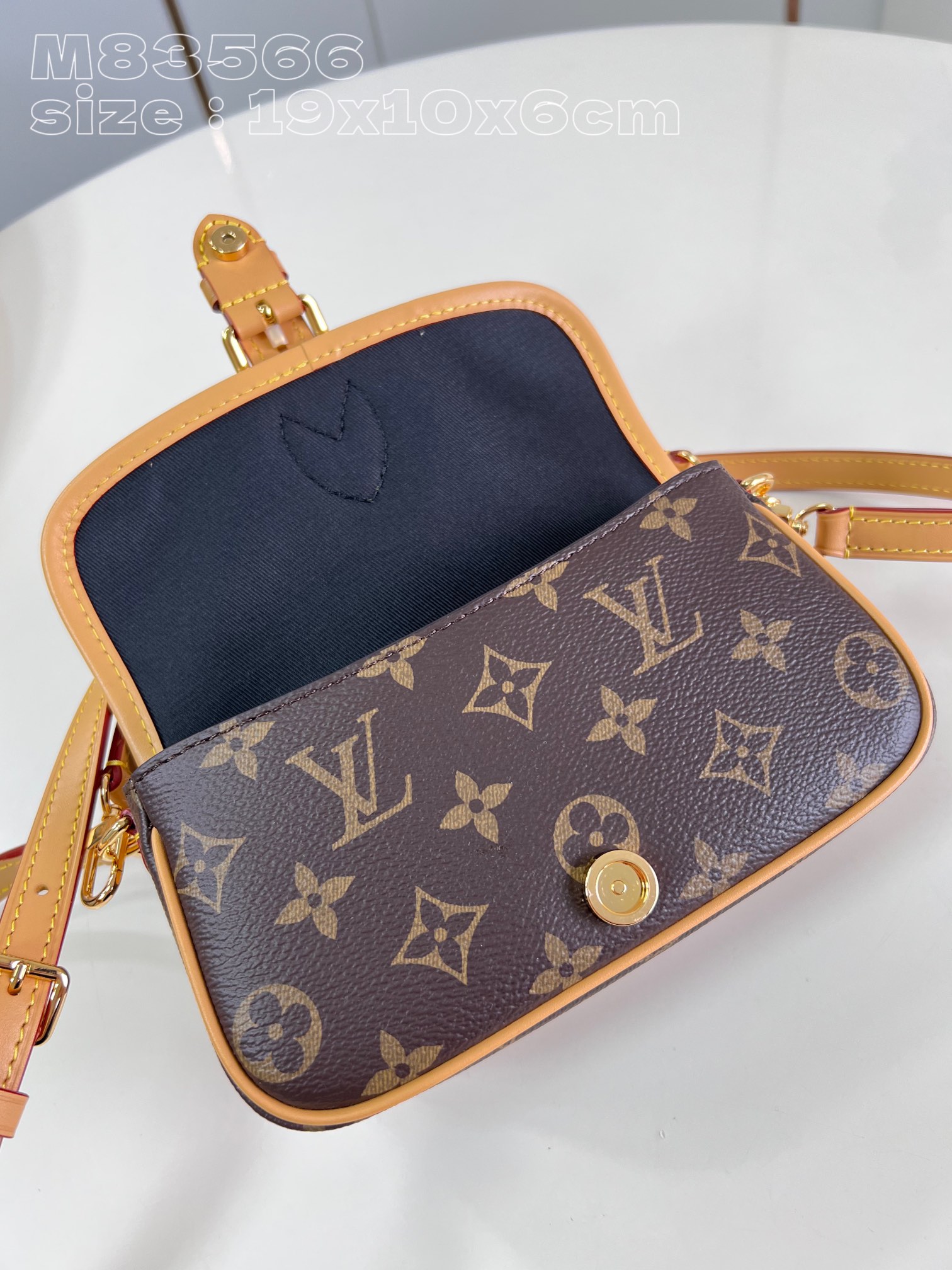 Louis Vuitton Nano Diane with leather strap and traditional buckle flap canvas bag