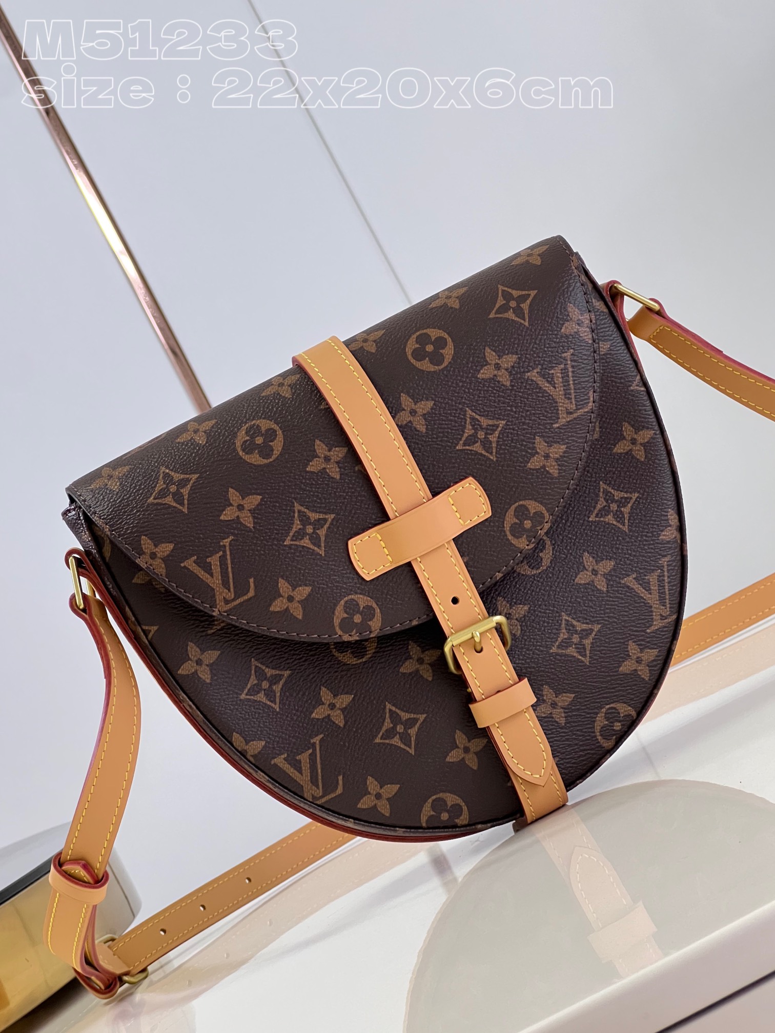 Louis Vuitton Micro Chantilly Medium Fully Functional Saddle Bag