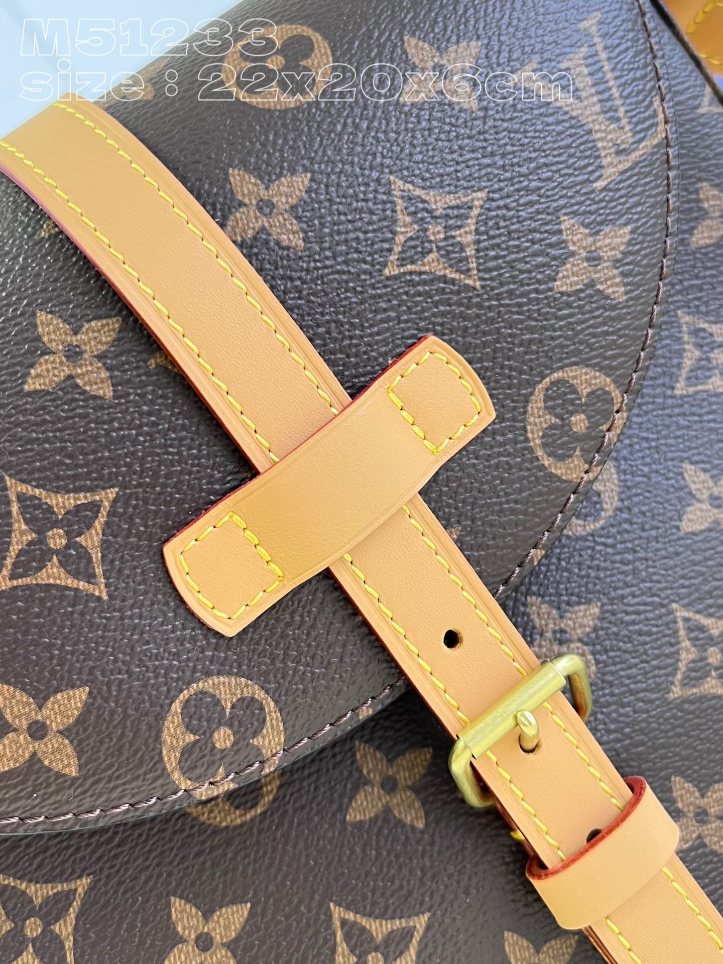 Louis Vuitton Micro Chantilly Medium Fully Functional Saddle Bag