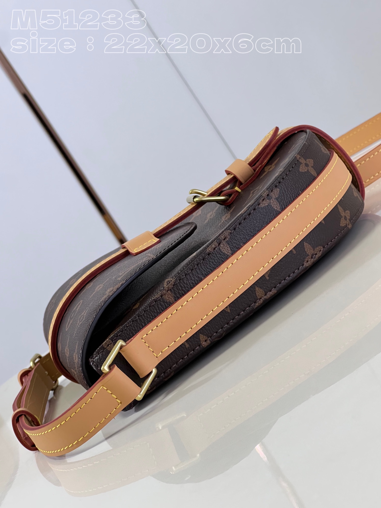 Louis Vuitton Micro Chantilly Medium Fully Functional Saddle Bag