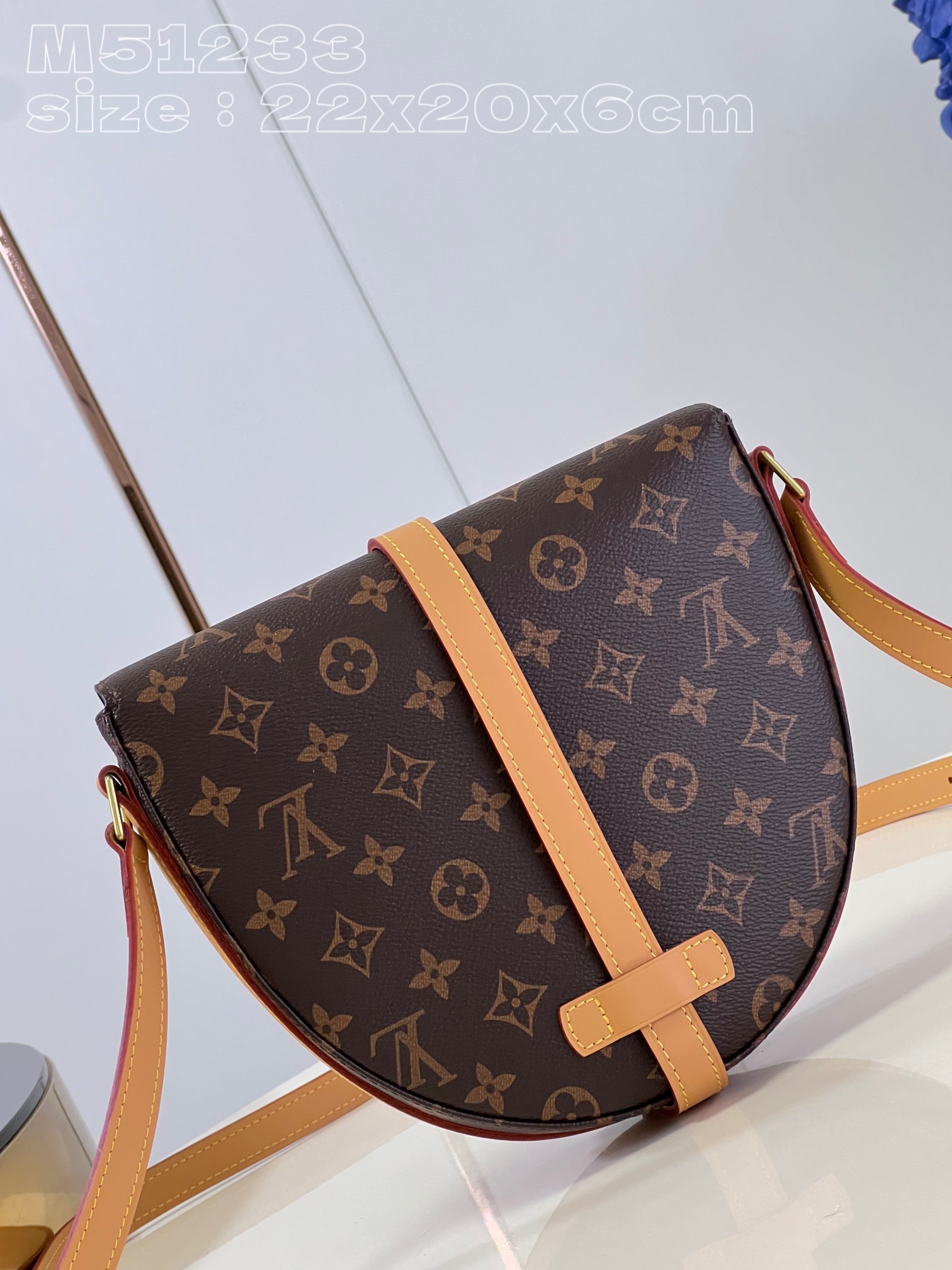 Louis Vuitton Micro Chantilly Medium Fully Functional Saddle Bag