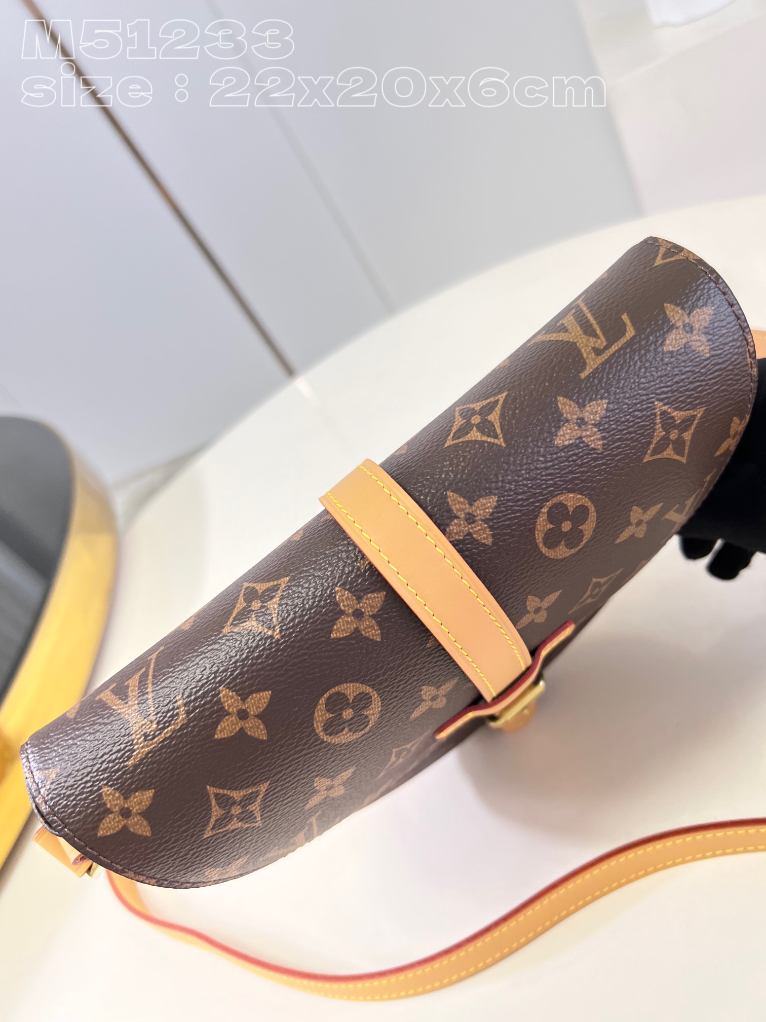 Louis Vuitton Micro Chantilly Medium Fully Functional Saddle Bag